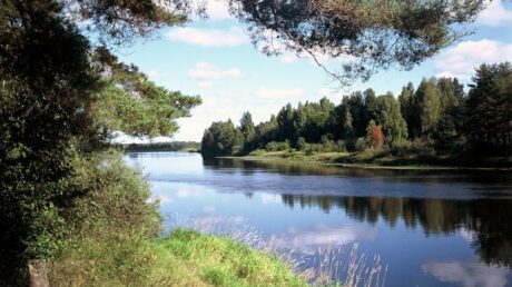 Туристический маршрут Ручки, Загородье, Коргово, Репинка
