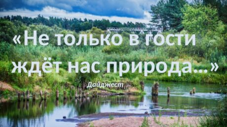 Не только в гости ждёт нас природа…