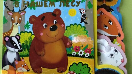 Животные в нашем лесу